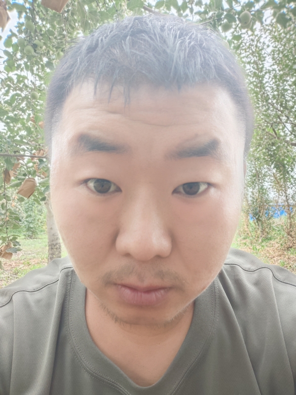 明天的第一张照片--阿克苏王婆说媒